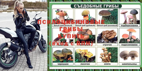 соль курить ск Алзамай