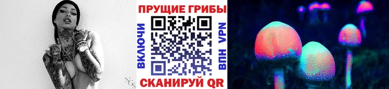 Галлюциногенные грибы Psilocybine cubensis Арамиль